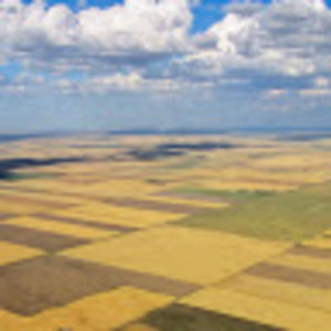 Meet your Posher, Nyein